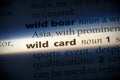 Wild card Royalty Free Stock Photo