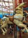 Wild Carousel Horse