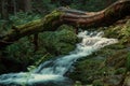 Wild cascade river situated in cold evening forest mountain environment