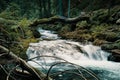 Wild cascade river situated in cold evening  forest mountain environment Royalty Free Stock Photo