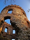 Wild castle ruin Royalty Free Stock Photo