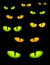 Wild cat eyes Royalty Free Stock Photo