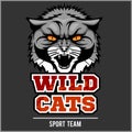 Wild cat head - design for logo and sport emblem