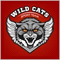 Wild cat head - design for logo and sport emblem