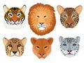 Wild cat head set Royalty Free Stock Photo