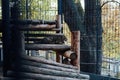 Wild cat leopard in captivity zoo in cage Royalty Free Stock Photo