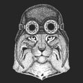 Wild cat Lynx Bobcat Trot Hand drawn image for tattoo, emblem, badge, logo, patch Cool animal wearing aviator