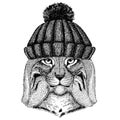 Wild cat Lynx Bobcat Trot Cool animal wearing knitted winter hat. Warm headdress beanie Christmas cap for tattoo, t