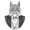 Wild cat Lynx Bobcat Trot Hipster animal Hand drawn illustration for tattoo, emblem, badge, logo, patch, t-shirt