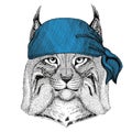 Wild cat Lynx Bobcat Trot Wild animal wearing bandana or kerchief or bandanna Image for Pirate Seaman Sailor Biker