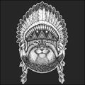 Wild cat Manul Cool animal wearing native american indian headdress with feathers Boho chic style Hand drawn image for