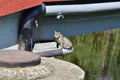 A wild cat without an owner lives under the bridge. Cat. Day Royalty Free Stock Photo