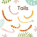 Wild cat tails set. Wild animals cartoon colored tiger tail. Collection of various cute cartoon wild animal tails Royalty Free Stock Photo
