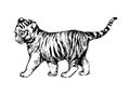 Wild cats illustration kitten tiger cub