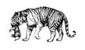 Wild cats illustration, tigress, kitten tiger cub