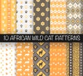 Wild Cats Patterns New Royalty Free Stock Photo