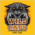 Wild cats sport team - logotype, emblem Royalty Free Stock Photo