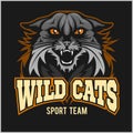 Wild cats sport team - logotype, emblem Royalty Free Stock Photo