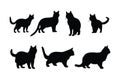 Wild cats standing silhouette set design. Furry cat silhouette vector collection on a white background. Feline standing and Royalty Free Stock Photo