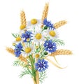 Wild Chamomile, Cornflowers and Wheat Ears Bunch. Royalty Free Stock Photo