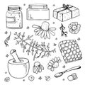 Wild chamomile flowers, leaves, honey, soap and organic cosmetics set. Hand drawn sketch vector illustration