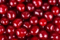 Wild cherries background