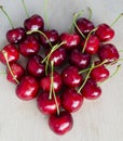 Wild cherry, sweet cherry,bird cherry,or gean