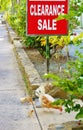 Wild chicken with chicks under clearence sale sign Royalty Free Stock Photo