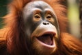 Wild chorus young orangutan vocalizes loudly in its natural habitat