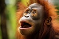 Wild chorus young orangutan vocalizes loudly in its natural habitat