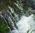 Wild clear cold creek Royalty Free Stock Photo