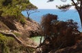 Wild coast - Canyamel - Mallorca Royalty Free Stock Photo