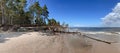 Wild coast on cape Kolka with trees that have fallen after a storm on the shore of the Baltic Sea. Royalty Free Stock Photo