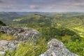 tropical jungle and forest in the wild coast of South Africa Royalty Free Stock Photo