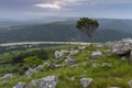 tropical jungle, waterfalls and forest in the wild coast of South Africa Royalty Free Stock Photo