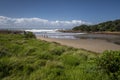 tropical jungle and forest in the wild coast of South Africa Royalty Free Stock Photo