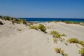 Sand dunes of the Ostriconi beach in the north of Corsica Royalty Free Stock Photo