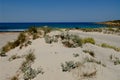 Sand dunes of the Ostriconi beach in the north of Corsica Royalty Free Stock Photo