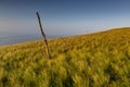 Wild Coast, Transkei, open beaches, steamy jungle or coastal forests, rugged and unspoiled Coastline South Africa Royalty Free Stock Photo