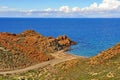 Wild coastline and blue horizon