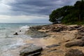 Wild coastline on Fiji Island: Beach with sand, stones and stranded tree trunks