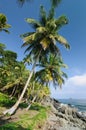 Wild Colombian Caribbean coast near Capurgana