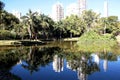 Wild cow park with forests and lakes in the city of GoiÃÂ¢nia GoiÃÂ¡s Royalty Free Stock Photo