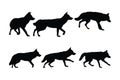 Wild coyote vector design on a white background. Coyote walking silhouette bundle design. Coyote wolf standing silhouette set