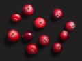 Wild cranberries, top view, paths Royalty Free Stock Photo