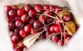 Wild cranberry Royalty Free Stock Photo