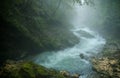 Wild creek Royalty Free Stock Photo