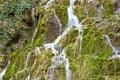 Wild creek falling down a hill Royalty Free Stock Photo