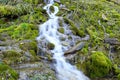 Wild creek falling down a hill Royalty Free Stock Photo