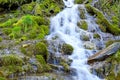 Wild creek falling down a hill Royalty Free Stock Photo